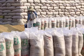 Vietnamese rice access choosy markets
