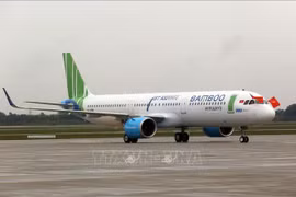 Aviation authority holds urgent meeting on Bamboo Airways’ operations
