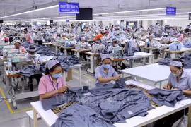 Vietnam, US work to elevate partnership