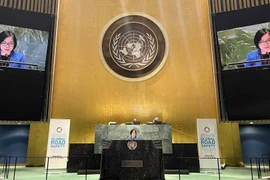 Vietnam backs UN’s efforts to improve road traffic safety