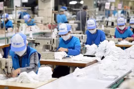 Southern localities to deliver pre-Tet gifts to needy workers
