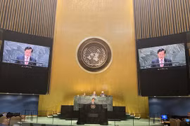 UN leader lauds Vietnam’s commitments to climate change response