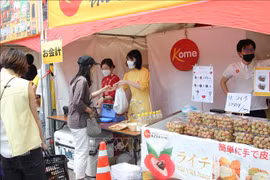 Vietnamese fruits attract attention at festival in Tokyo