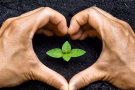 Indonesia targets 1.8 million more jobs to green economy by 2030