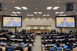 Vietnam calls for global efforts to promote sustainable development 