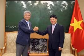 Vietnam welcomes RoK firms’ investment expansion: Deputy PM