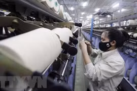 Russian expert: Vietnamese economy stable in 2022