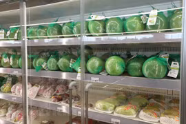 Vietnamese products promoted in UK