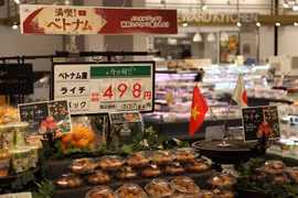 Importers, exporters impacted by exchange rate volatility