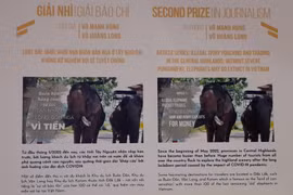 VietnamPlus writers win second prize at journalism award on wildlife 