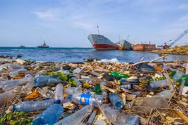 UNDP aids Binh Dinh in marine waste collection