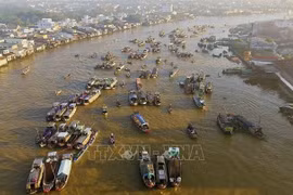 HCM City shakes hands with Mekong Delta localities in tourism development