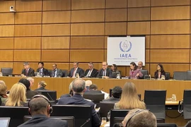 Vietnam reiterates support for IAEA’s major pillars