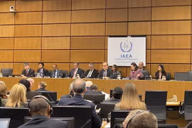 Vietnam reiterates support for IAEA’s major pillars
