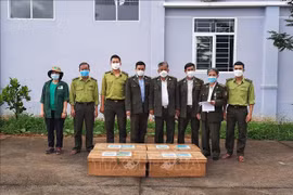 Cuc Phuong National Park rescues large number of wild animals