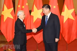 Top Vietnamese, Chinese leaders exchange Lunar New Year greetings