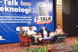 Indonesia eyes building nuclear power plant by 2039