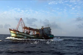 Kien Giang deals with vessels caught illegally fishing in foreign waters
