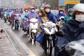 Strong cold remains in northern region