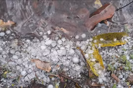 Hailstorm wreaks havoc in Son La
