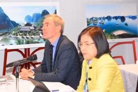 Vietnamese, int'l experts in Switzerland share experience in digital transformation