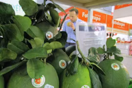 Vietnam shows potential for fruit exports to US