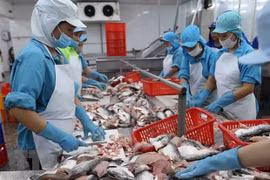 Firms seek to bolster exports to Mexico 
