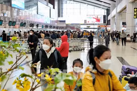 Tan Son Nhat, Noi Bai airports serve up to 100,000 passengers on Feb. 7