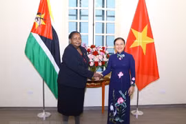 VUFO President suggests Vietnam, Mozambique maximise strengths to deepen friendship