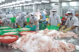 Vietnam likely among Asia’s fastest growing economies next year: WSJ