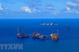 Foreign investment attraction key to modernisation of PetroVietnam