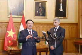 NA leader’s Hungary visit grabs headlines on Eastern European media