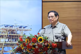 PM requests PetroVietnam ensure energy sufficiency