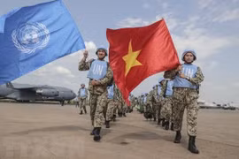 Vietnam willing to promote cooperation with UN on peacekeeping: Ambassador