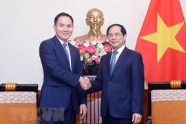 Vietnam, Mongolia hold 10th deputy foreign minister-level political consultation
