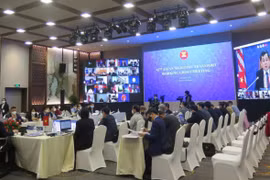 ASEAN Maritime Transport Working Group completes agendas
