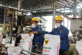Fertiliser exports set new record