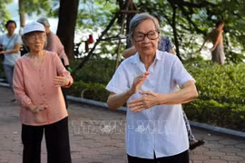 Workshop discusses elderly care in Vietnam