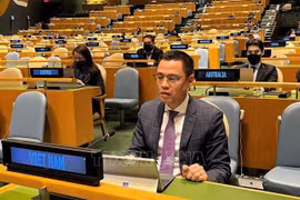  Vietnam hopes for UN’s continued support for national construction, development