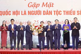Party and State leaders meet with NA ethnic minority deputies