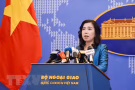 Vietnam ready for citizen protection in Ukraine: spokesperson