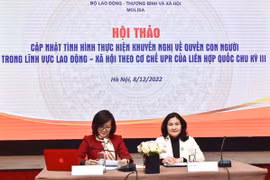 Human rights promoted in labour, social, gender equality aspects