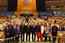 Vietnam wins international confidence: ambassador