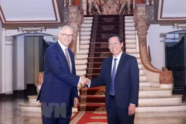 HCM City, Rotterdam promote cooperation in climate change response
