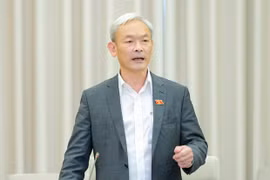 Vietnamese, Lao NA committees exchange budget-finance experience