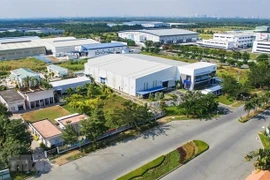 Mekong Delta province's industrial parks prove irresistible to investors