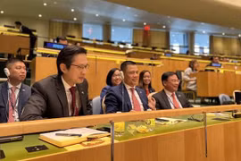 Vietnam’s international position continuously consolidated, heightened: official