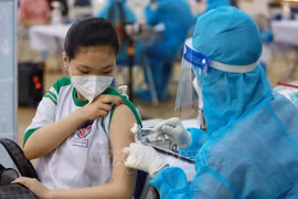 No grounds yet to view COVID-19 as seasonal flu: HCM City official