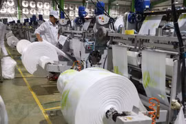 Algeria remains promising market for Vietnam: offical
