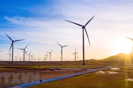 Renewable energy offers investment opportunities in Vietnam